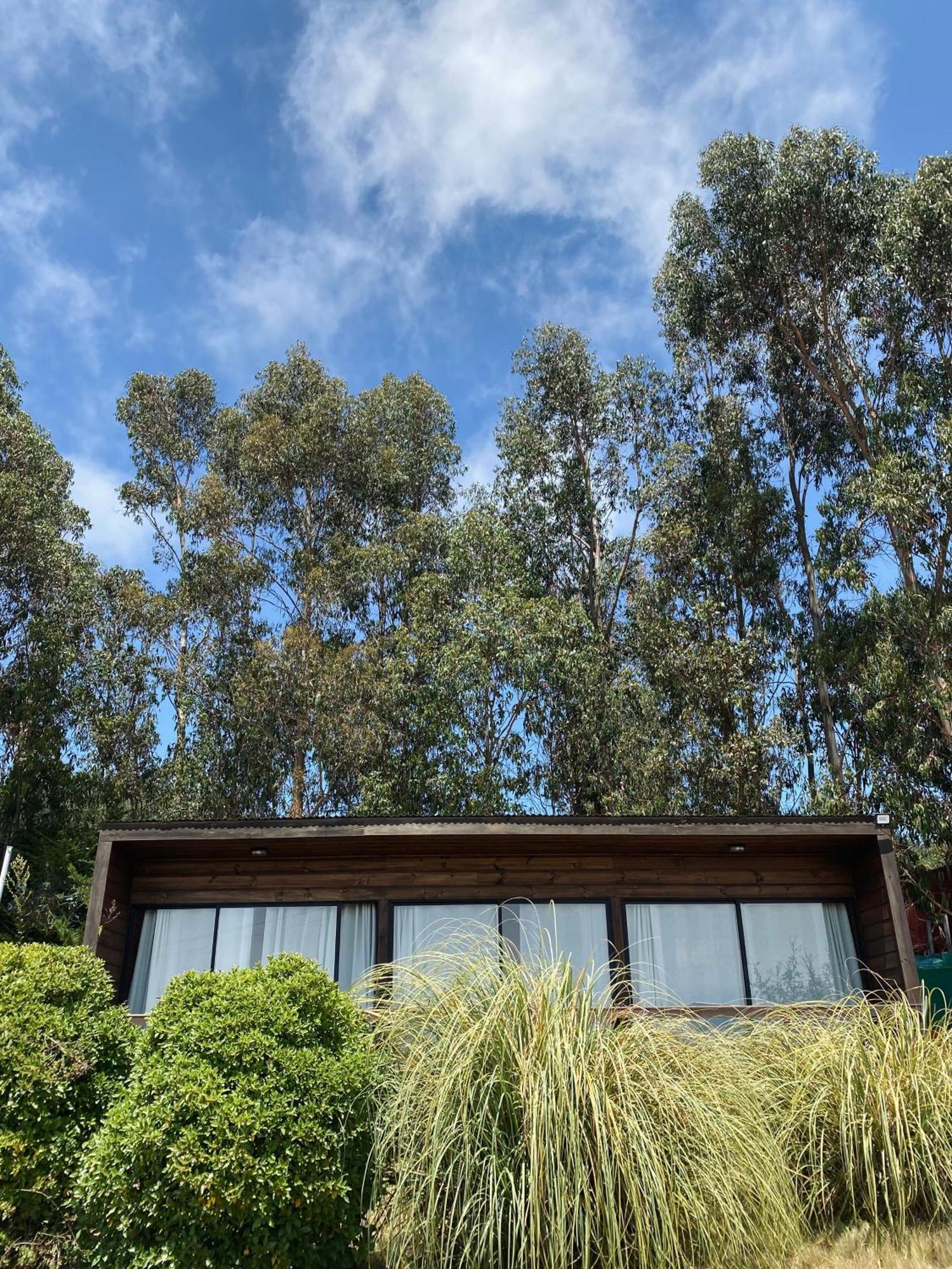 勒沃尔凡山林小屋 库雷尼佩 外观 照片